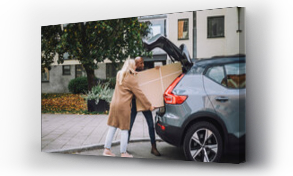 Wizualizacja Obrazu : #569494877 Man and woman loading cardboard together in car trunk