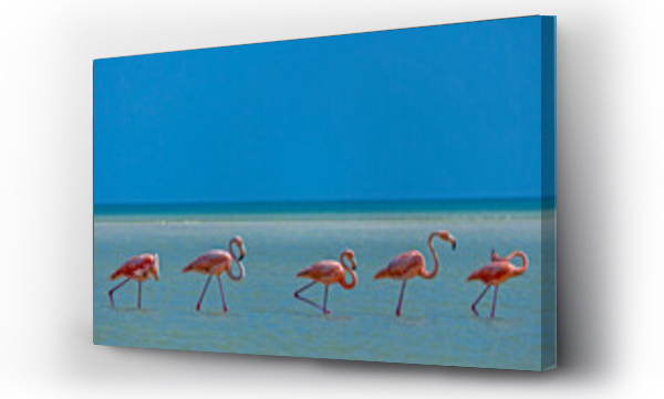 Wizualizacja Obrazu : #569676610 Pink Flamingos in the Ocean