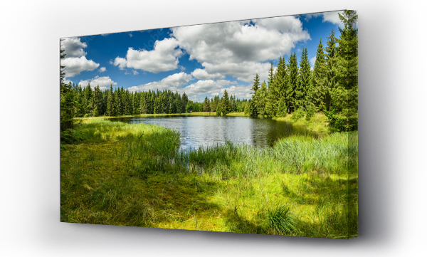 Wizualizacja Obrazu : #570187926 Mountain lake in the forest panorama