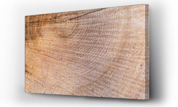 Wizualizacja Obrazu : #572433754 t?o drewniane naturalne ze ?ci?tego pnia drzewa