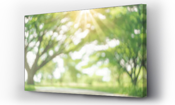 Wizualizacja Obrazu : #573572468 Blur nature green park with sun light abstract background.