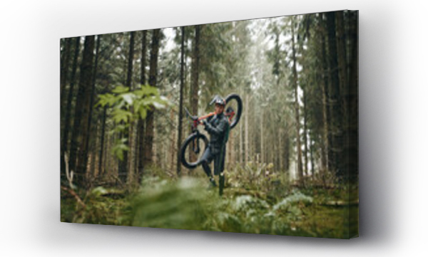 Wizualizacja Obrazu : #574643074 Rider carrying his mountain bike along a forest trail