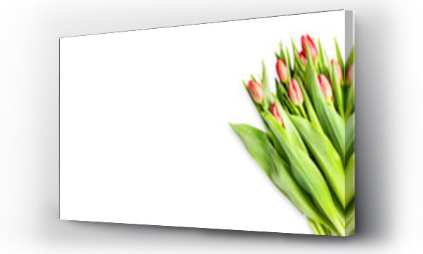 Kwiaty, Liście, Tulipany