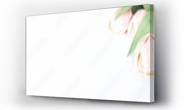 Wizualizacja Obrazu : #575127366 Baner kwiaty