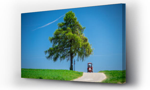 Wizualizacja Obrazu : #576778941 Samotne drzewo i traktor.