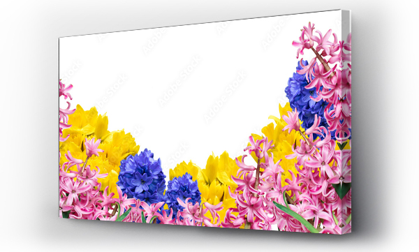 Kwiaty, Kwiaty wiosenne, narcyz