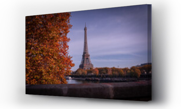 drzewo, paryż, wieża eiffla