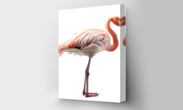 Wizualizacja Obrazu : #586249724 flamingo isolated on white