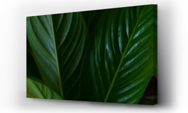 Abstrakcja zieleń, Liście