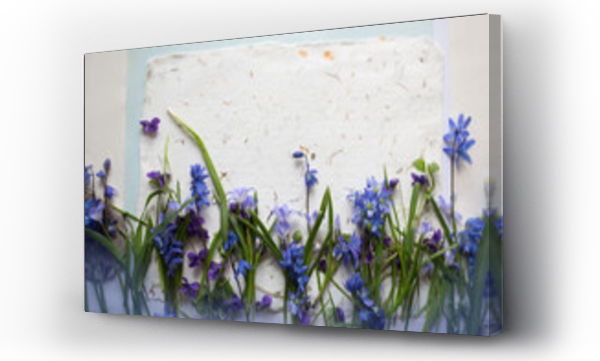 Wizualizacja Obrazu : #592255326 T?o z wiosennymi kwiatami w odcieniach b??kitu i fioletu. Kwiaty na papierze czerpanym.