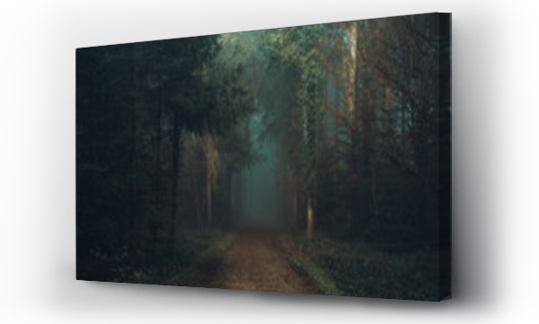 Wizualizacja Obrazu : #593170297 Forest in the mystic morning