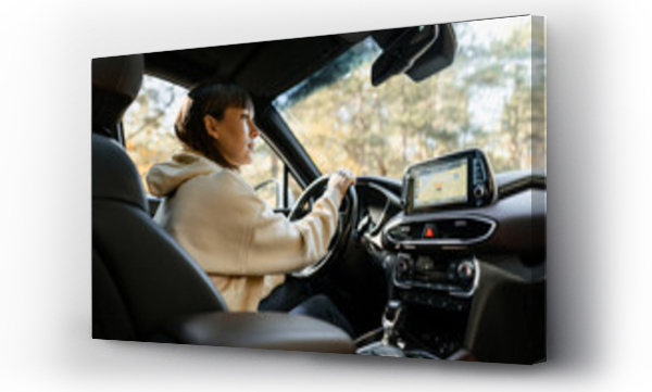 Wizualizacja Obrazu : #593763203 Woman using navigator while driving a car