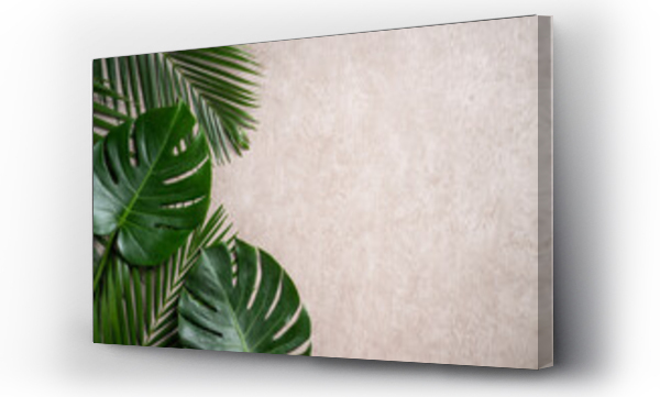 Wizualizacja Obrazu : #596301130 Tropical palm monstera leaves isolated on gray table background.
