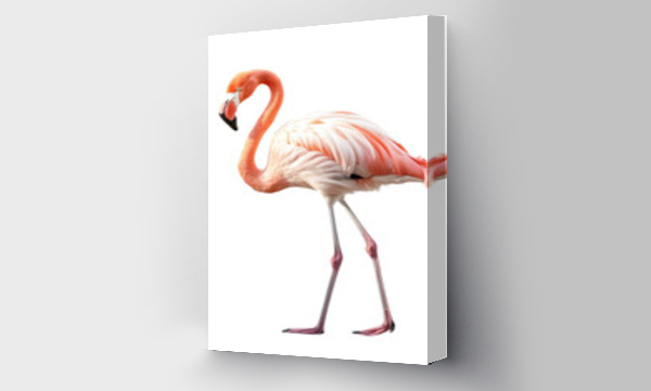 Wizualizacja Obrazu : #596633420 flamingo isolated on white	

