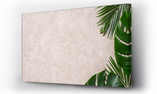 Wizualizacja Obrazu : #596661545 Tropical palm monstera leaves isolated on gray table background.