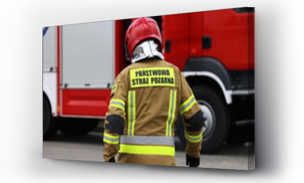 Wizualizacja Obrazu : #597550039 Funkcjonariusz stra?y po?arnej podczas akcji ratunkowej przy wypadku samochodowym. Stra? ogniowa. 