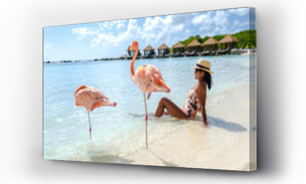 Wizualizacja Obrazu : #604206542 Asian women on the beach with pink flamingos at Aruba, flamingo at the beach in Aruba Island Caribbean.