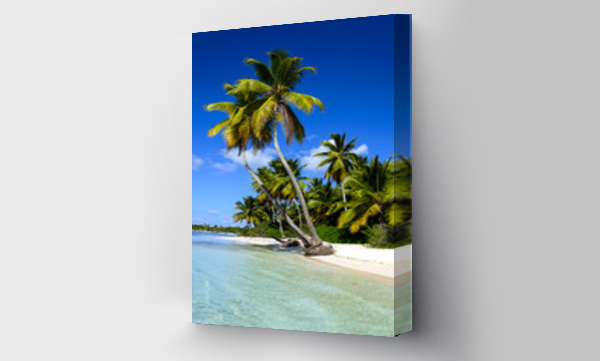 Wizualizacja Obrazu : #60615508 Dominicana beach with palms