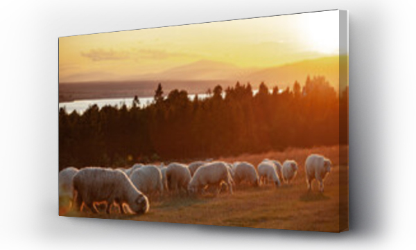 góry, wschód słońca, zwierzęta