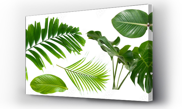 Wizualizacja Obrazu : #606467154 Group Plant leaves Green nature Tropical forest isolated on transparent background - png	