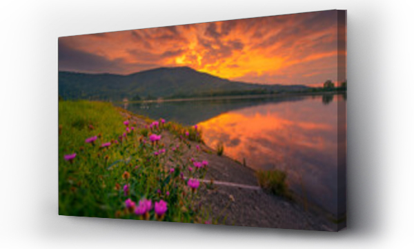 góry, Kwiaty, niebo, zachód słońca