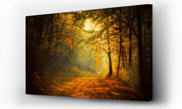 Wizualizacja Obrazu : #60738927 Jesień w lesie