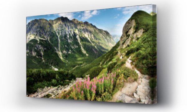 góry, Tatry, tatry lato, zakopane  woda, zakopane woda