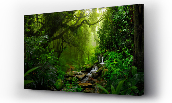Wizualizacja Obrazu : #612100393 Tropical rain forest in Central America