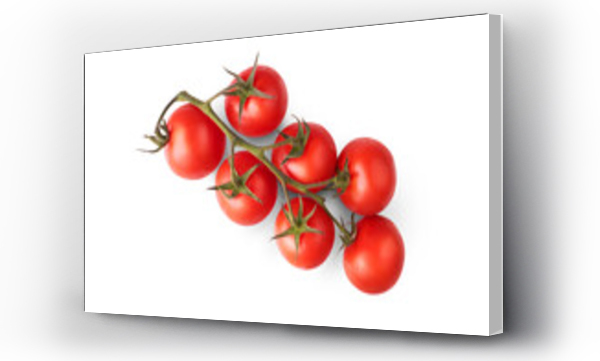 Wizualizacja Obrazu : #612355880 A bunch of ripe juicy red tomatoes on the vine isolated against a transparent background