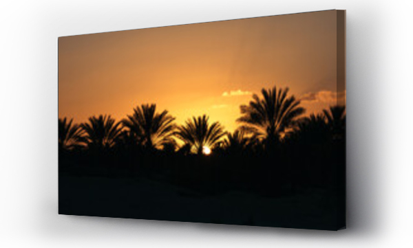 Wizualizacja Obrazu : #612674292 Sunset in an oasis in the desert