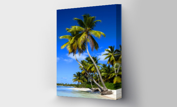 Wizualizacja Obrazu : #61372963 Exotic  palms on sandy Caribbean beach in Dominicana