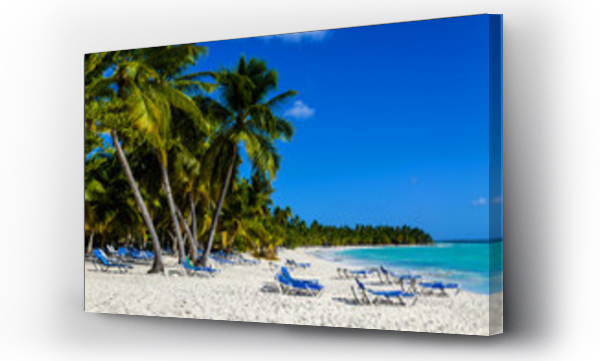 Egzotyczne wakacje na Dominikanie. Palmy, leżaki na plaży