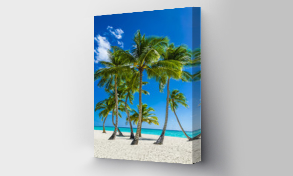 Wizualizacja Obrazu : #61443333 Widok na egzotyczną plażę z wysokimi palmami i żółtym piaskiem