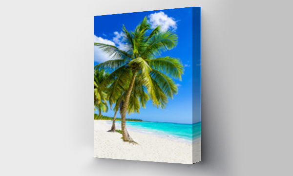 Piaszczysta plaża z palmami, Republika Dominikany na Karaibach