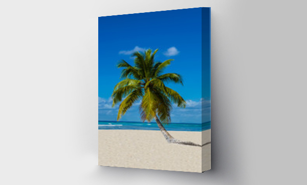 Wizualizacja Obrazu : #61643432 Lonely palm tree on sandy beach on the wild island