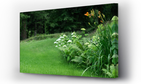 pejzaż, Pejzaż wiejski, zielony