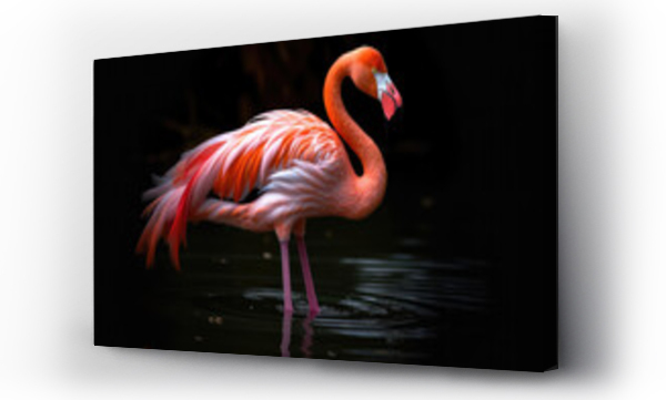 Wizualizacja Obrazu : #622223780 Close-up of pink flamingo bird with pink feathers on black background with copy space. Natural beautiful wallpaper with unusual bird. Generative AI professional photo imitation.