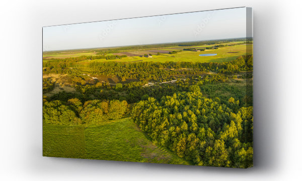 Wizualizacja Obrazu : #622782340 Aerial panorama of forest with heather in nature area Mantingerzand, Mantinge, Drenthe, Netherlands.