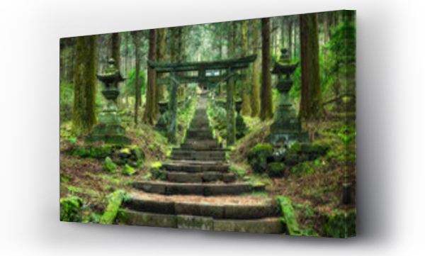 Wizualizacja Obrazu : #623990197 Torii gate in the forest near Kumamoto, Japan