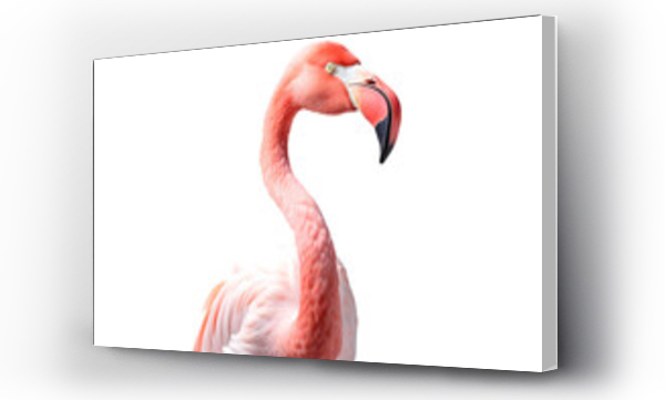 Wizualizacja Obrazu : #625641320 Close-up of a flamingo on a transparent background. png file. Generative AI