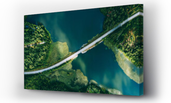 droga, natura, samochody