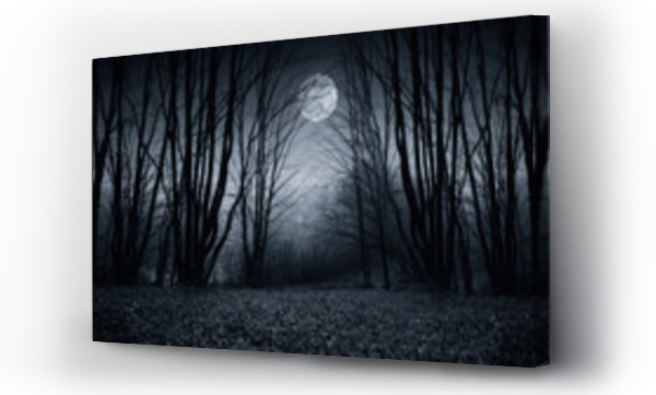 księżyc, las, Panorama