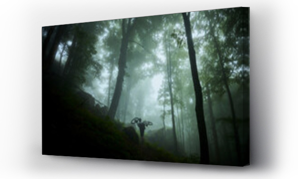 Wizualizacja Obrazu : #636122872 Adventurer carries a bicycle through a foggy forest
