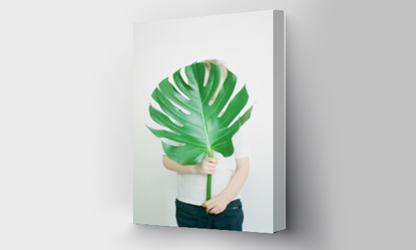 Wizualizacja Obrazu : #636129460 little cute toddler boy holding monstera plant leaf in hand