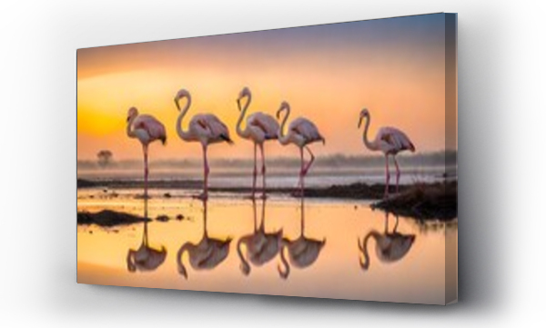 Wizualizacja Obrazu : #636281579 nature scenery or natural painting by Greater flamingo flock or flamingos family during winter migration