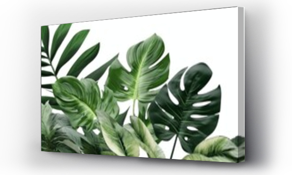 Wizualizacja Obrazu : #636956926 Palm leaves on the simple white background promo banner Created With Generative AI