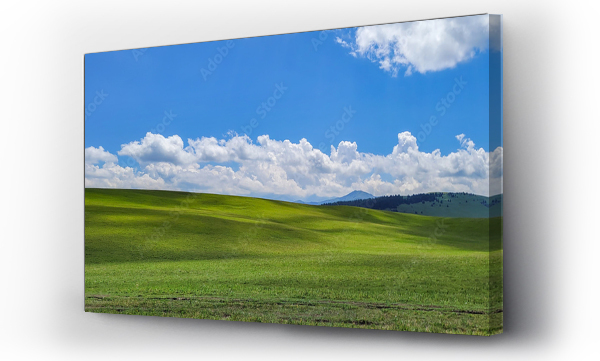 Wizualizacja Obrazu : #639131155 field panorama