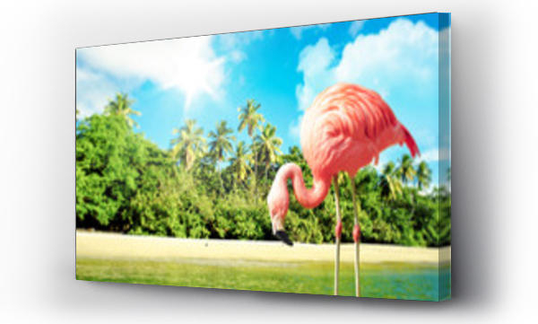 Wizualizacja Obrazu : #64114340 Pink flamingo in the water on a tropical scenery