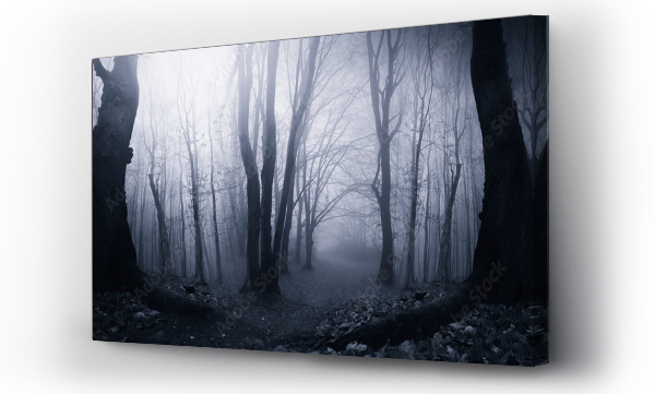 Wizualizacja Obrazu : #641294893 forest at night, dark fantasy halloween background