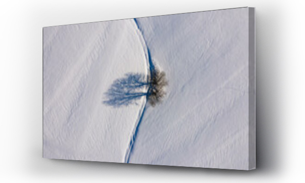 Wizualizacja Obrazu : #641620066 Zima i drzewo samotne